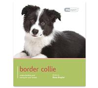 Border Collie - Dog Expert