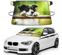 Border Collie Dog Green, Car Windshield Cover, Protective Windscreen Cover - Snow Ice Sun UV Dust Water Resistant - Fit for Most Cars