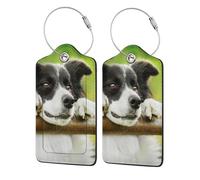 Border Collie Dog Green,Luggage Tags Pu Leather Name Tag Travel Suitcase Identifier ID Tags Durable Luggage Label 2 pcs