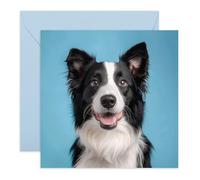 Border Collie Dog Happy Birthday Card - Gifts for Dog Loves, Pet Owners, Fur Dad Mum, Friends, Brother, Sister, Colleagues, Neighbours, Mates, Buddy, Pal, Him, Her - Smiling - Comes with Fun Stickers