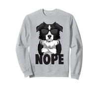 Border Collie Dog Kids Boys Women Sweatshirt