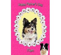 Border Collie Dog 'Mum' Cerise Mothers Day Card