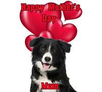 Border Collie Dog nmd47 Fun Cute Happy Mother's Day Card Personalised Greetings