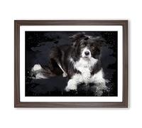 Border Collie Dog No.2 Modern CB Framed Print | A3 Walnut Framed Wall Art | Ready to Hang | Modern Animal Picture | Living Room Bedroom Lounge Office