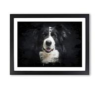 Border Collie Dog No.3 Modern CB Framed Print | A3 Black Framed Wall Art | Ready to Hang | Modern Animal Picture | Living Room Bedroom Lounge Office