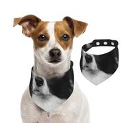 Border Collie Dog Pet,Pet Bib Scarf Cats Dog Bandana Dogs Towel Bib Adjustable Pet Scarf,S