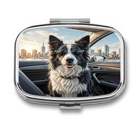 Border Collie Dog Small Pill Box for Purse Travel Essentials Metal Pill Case 2 Compartments Compact Medicine Container Portable Daily Pill Organizer for Vitamins Fish Oils