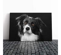 Border Collie Dog Vol.2 Canvas Print | Gallery Wrapped 30mm Frame Wall Art | 30x20 inches | Ready to Hang | Modern Animals Picture | Living Room Bedroom Lounge Office