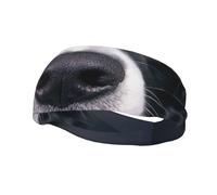 Border Collie & DogHair Bands for Men Woman Headband Running Headband Sweat Wicking Gym