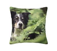 Border Collie Dogs Bokeh Pets Black White, Throw Pillow Cover Decorative Polyester Pillowcase Soft Cushion Covers 45x45 cm