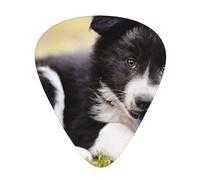Border Collie Dogs Puppy Pets Black Border,12 Pcs Guitar Pick,3 Different Thickness Plectrums for Acoustic Guitar Bass Ukulele (0.46mm 0.96mm 0.71mm)