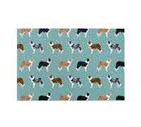 Border Collie Dogs1