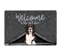 Border Collie Door Mat Border Collie Dog Welcome to The Shitshow Gifts For Dog Lovers Welcome Non-Slip Mats Funny Doormat Bathroom Kitchen Front Porch Rugs Entrance 16 * 24in/40 * 60cm