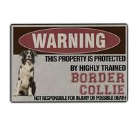 Border Collie Door Mat This Property is Protected by a Highly Trained Border Collie Dog Welcome Non-Slip Mats Funny Doormat Bathroom Kitchen Front Porch Rugs Entrance 16 * 24in/40 * 60cm