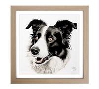 Border Collie Drawing Framed Print | 18x18 Inch Oak Framed Wall Art | Ready to Hang | Modern Nature Picture | Living Room Bedroom Lounge Office