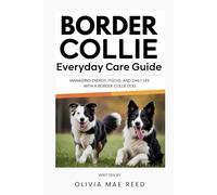 Border Collie Everyday Care Guide: Managing energy, focus, and daily life with a Border Collie dog