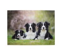 Border Collie Family Adults 500 Pieces Puzzles-Jigsaw Wooden Puzzle for Adults Elderly