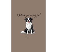 Border Collie Funny Notebook: What are you waiting for? - Funny Border Collie Notebook