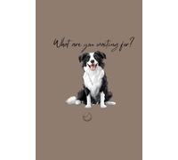 Border Collie Funny Notebook: What are you waiting for? - Funny Border Collie Notebook