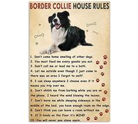 Border Collie House Rules Poster Metal Sign Birthday Gift 8X12 inch