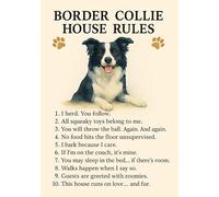 Border Collie House Rules Wall Art, Funny Dog Rules print, Pet Home Decor. Size A4