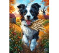 Border Collie in A Flower Meadow 1000 Piece Count Jigsaw Puzzle Set Wildlife Pet For Adults Teens 14+ Concentration Training Indoor Game Family Game Night Rigid Cardboard 1000 PCS