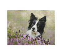 Border Collie Lawn Black Border Collie Pets,500 Pieces Puzzles for Adults-Wooden Jigsaw Puzzle for Adults Elderly