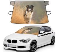 Border Collie Lawn Pets Black White Border, Car Windshield Cover, Protective Windscreen Cover - Snow Ice Sun UV Dust Water Resistant - Fit for Most Cars