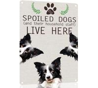 Border Collie Metal Sign Spoiled Dog Lives Here Vintage Metal Tin Signs Novelty Dog Sign Coffee Bar Pub Farmhouse Country Home Decor for Dog Lover 8x12 Inch