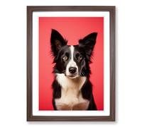 Border Collie Minimalism No.2 Framed Print | A2 Walnut Framed Wall Art | Ready to Hang | Minimalist Nature Picture | Living Room Bedroom Lounge Office