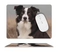 Border Collie Mouse Pad for Office, Leather Mouse Mat with Non-Slip Base, Waterproof Desk Pad Protector for Home, Personalized Mouses Mat for Travel, Outdoor, 10" X 8"