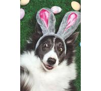 Border Collie Notebook - Funny Dog with Bunny Ears Journal: Cute Dog Lover Easter Notebook | 6x9 Lined | 100 Pages