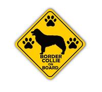 Border Collie on Board Sticker Set of 2 - Full Colour Printed and Laminated 260mm x 260mm - Great for Dog Lovers and Pet Owners to Use on Cars