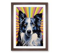 Border Collie Op No.3 Framed Print | A2 Walnut Framed Wall Art | Ready to Hang | Modern Nature Picture | Living Room Bedroom Lounge Office