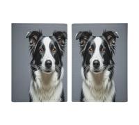 Border Collie Passport Protector Slim Passport Holder for Travel Essentials Compact Passport Sleeve Lightweight Wallet for Travel, style, 20.3x13.8cm