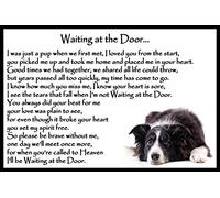 Border Collie pet Dog Memorial Bereavement Flexible Fridge Magnet - Waiting at The Door
