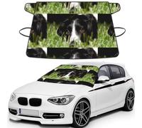 Border Collie Pets Grass Black Border Collie, Car Windshield Cover, Protective Windscreen Cover - Snow Ice Sun UV Dust Water Resistant - Fit for Most Cars