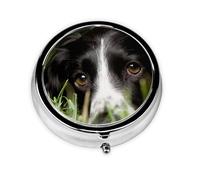 Border Collie Pets Grass Black Border CollieMeta Pill Box 3 Compartment Medicine Case,Portable Organizer