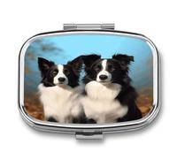 Border Collie Pill Box 2 Compartment Decorative Metal Pill Case for Pocket Or Purse Travel Portable Medicine Box Pill Container Organizer for Vitamins Fish Oils Supplements