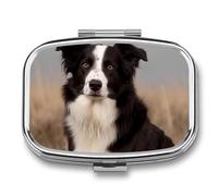 Border Collie Pill Box 2 Compartment Portable Pill Case Daily Square Pill Organizer for Pocket Purse Daily Medicine Container to Hold Vitamins Fish Oil Travel Gifts