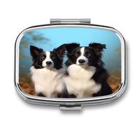 Border Collie Pill Box 2-Compartment Portable Pill Case Square Metal Medication Organizer Small Weekly Medication Case with Mirror Stylish Vitamin Holder for Purse Pocket Travel