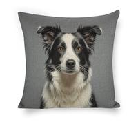 Border Collie Pillowcase Machine Washable Throw Pillow Case Lovely Cushion Cover For Sofa Car Home 45X45Cm