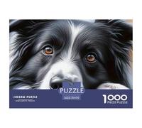 Border Collie Portrait Impossible Hard Challenging 1000 Pc Jigsaw Puzzle - Border Collie Close Up Recycled Paper for Home Wall Decor70x50cm/1000pcs