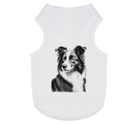 'Border Collie Portrait' Pet Dog/Cat T-Shirt (PT00152711)