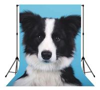 Border Collie Print Backdrop For Photoshoot, Photo Backdrop Background Curtain For Photography Portraits(No Stand)