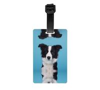 Border Collie Print Luggage Tags with Full Back Privacy Cover - Bright Suitcase Identifier for Travel, Cruise & More