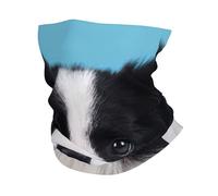 Border Collie Print Winter Neck Gaiter Warmer, Soft Face Mask Scarf For Cold Weather Skiing Cycling Outdoor Sports