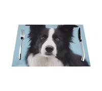 Border Collie Printed Placemats Set of 6 PCS Heat Resistant Non-Slip Woven Kitchen Dinner Table Place Mat 45x30 CM