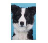 Border Collie Printed Wooden Puzzle 300 Piece, Cute Puzzle Game in Plastic Box for Family Entertainment and Brain Training Gifts