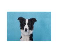 Border Collie Printed1
